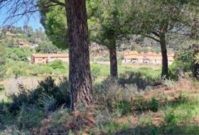 Móra la Nova 21203&nbsp;m² 