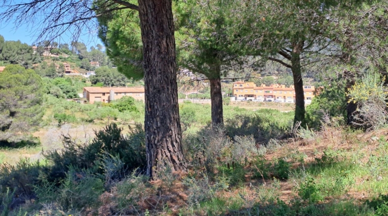Tarragona - Móra la Nova - 21203m2