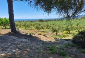 Móra la Nova 21203&nbsp;m² 