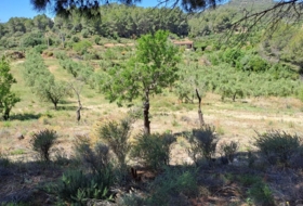 Móra la Nova 21203&nbsp;m² 
