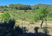 Terreno no urbanizable en venta en Móra la Nova ref: TR409187 foto