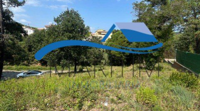 Barcelona - Tordera - 800m2