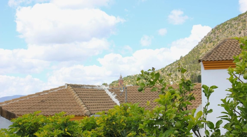 Cádiz - Algodonales - 91m2