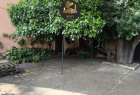 Foto 7