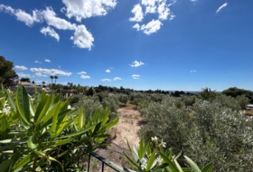 Albatera 3000&nbsp;m²
