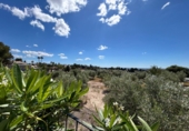 Chalet independiente con terreno en venta en Albatera ref: TR409201 foto
