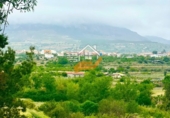 Finca rústica en venta en Vélez-Rubio ref: TR409208 foto