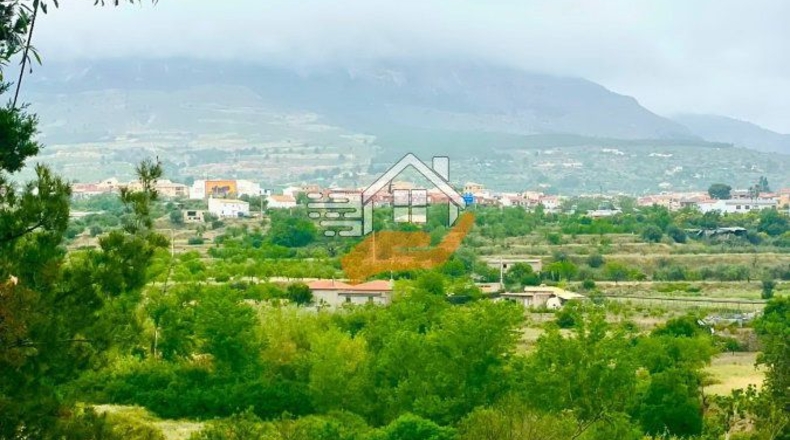 Almeria - Vélez-Rubio - 35000m2
