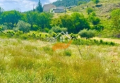 Finca rústica en venta en Vélez-Rubio ref: TR409208 foto