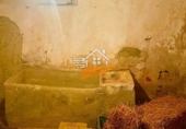 Finca rústica en venta en Vélez-Rubio ref: TR409208 foto