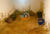Finca rústica en venta en Vélez-Rubio ref: TR409208 foto