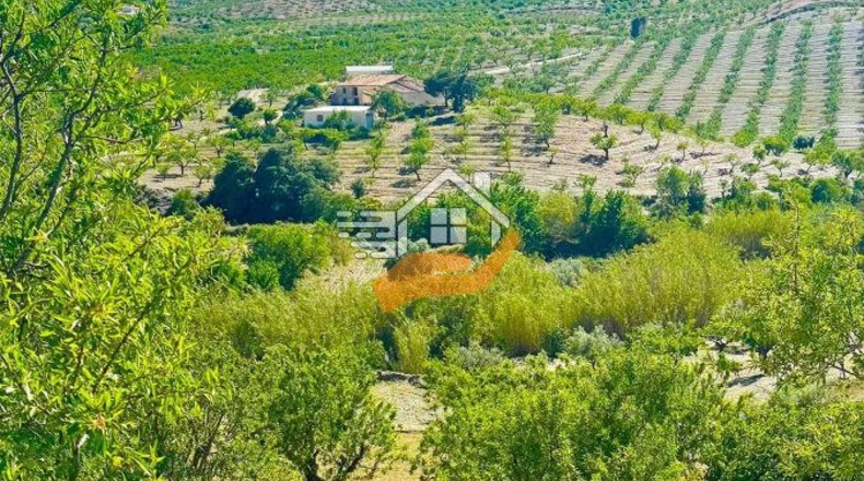 Almeria - Vélez-Rubio - 30000m2
