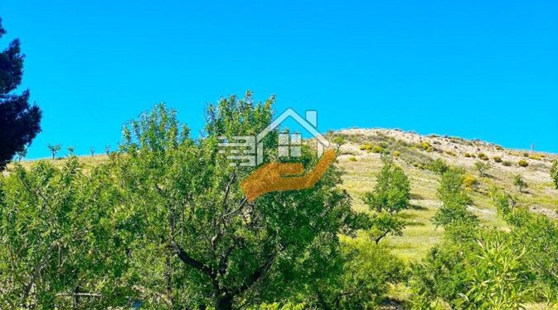 Almeria - Vélez-Rubio - 30000m2