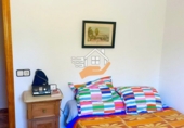 Chalet independiente con terreno en venta en Vélez-Rubio ref: TR409210 foto