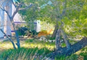 Chalet independiente con terreno en venta en Vélez-Rubio ref: TR409210 foto