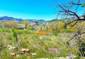 Chalet independiente con terreno en venta en Vélez-Rubio ref: TR409210 foto