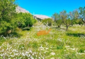 Chalet independiente con terreno en venta en Vélez-Rubio ref: TR409210 foto