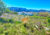 Chalet independiente con terreno en venta en Vélez-Rubio ref: TR409210 foto