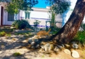 Chalet independiente con terreno en venta en Vélez-Rubio ref: TR409210 foto