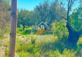 Chalet independiente con terreno en venta en Vélez-Rubio ref: TR409210 foto