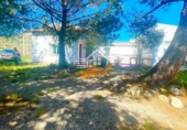 Chalet independiente con terreno en venta en Vélez-Rubio ref: TR409210 foto