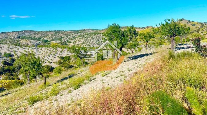 Almeria - Vélez-Rubio - 530000m2