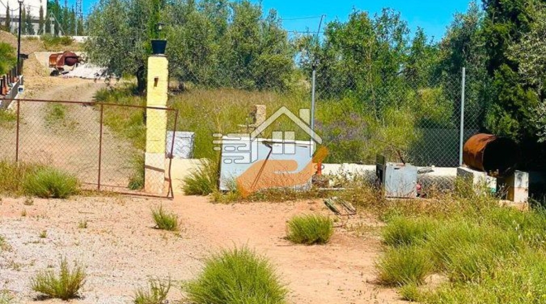 Almeria - Vélez-Rubio - 10000m2