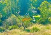 Finca rústica en venda a Vélez-Rubio ref.: TR409211 foto