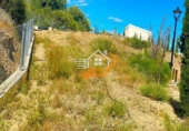 Finca rústica en venda a Vélez-Rubio ref.: TR409211 foto