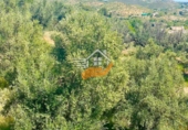 Finca rústica en venda a Vélez-Rubio ref.: TR409211 foto