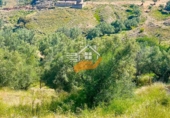 Finca rústica en venda a Vélez-Rubio ref.: TR409211 foto