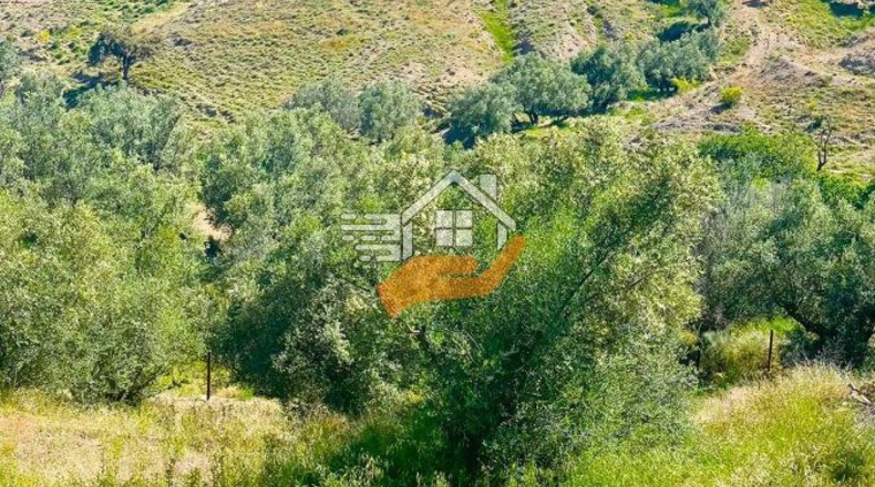 Almeria - Vélez-Rubio - 10000m2