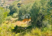 Finca rústica en venda a Vélez-Rubio ref.: TR409211 foto