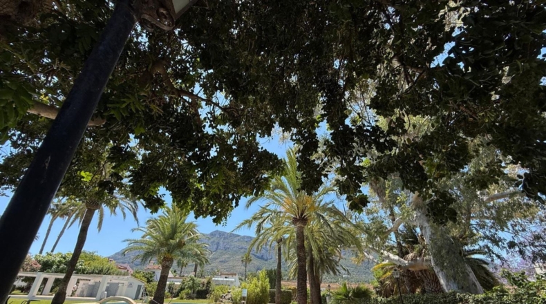 Аликанте - Denia - 80m2