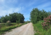 Non-developable land for sale on España, Oliva, ref: TR409073 photo