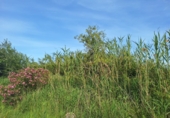 Non-developable land for sale on España, Oliva, ref: TR409073 photo