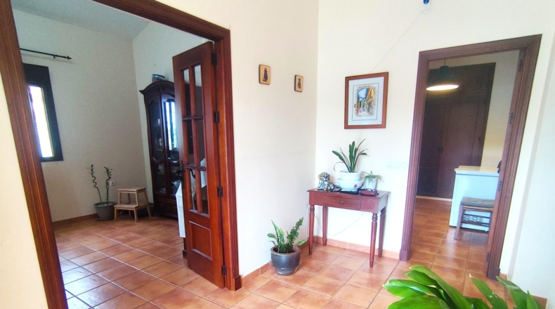 Cádiz - Chiclana de la Frontera - 459m2