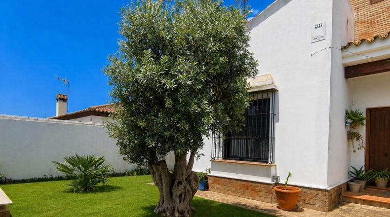 Cádiz - Chiclana de la Frontera - 459m2