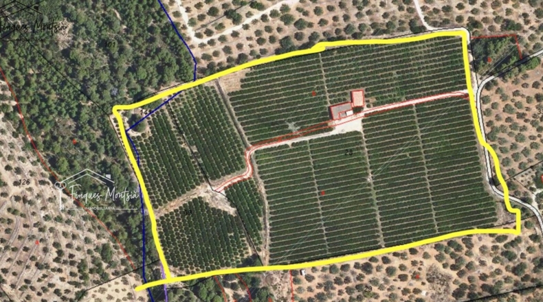 Tarragona - Camarles - 63354m2