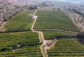 Camarles 63354&nbsp;м²