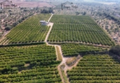 Finca rústica en venda a Camarles ref.: TR409083 foto