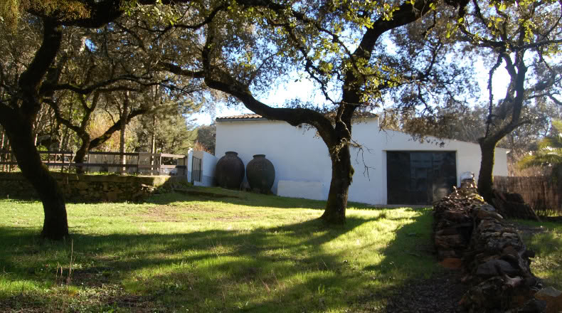 Badajoz - Fuentes de León - 26981m2