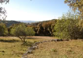 Country house with land for sale on Camino de Avellaneda, Fuentes de León, ref: TR409231 photo