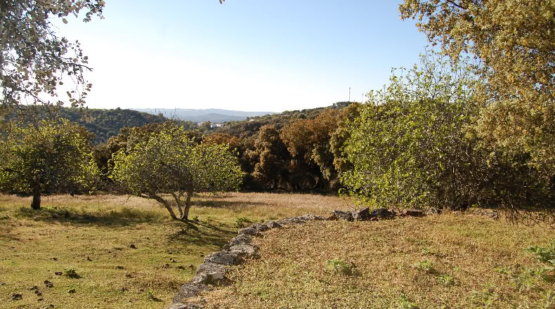 Badajoz - Fuentes de León - 26981m2