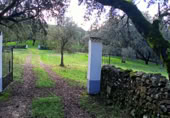Country house with land for sale on Camino de Avellaneda, Fuentes de León, ref: TR409231 photo