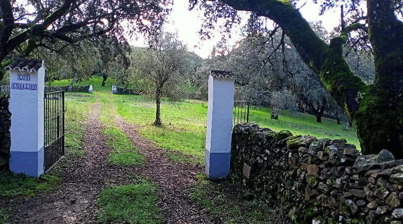 Badajoz - Fuentes de León - 26981m2