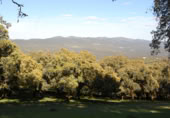 Country house with land for sale on Camino de Avellaneda, Fuentes de León, ref: TR409231 photo