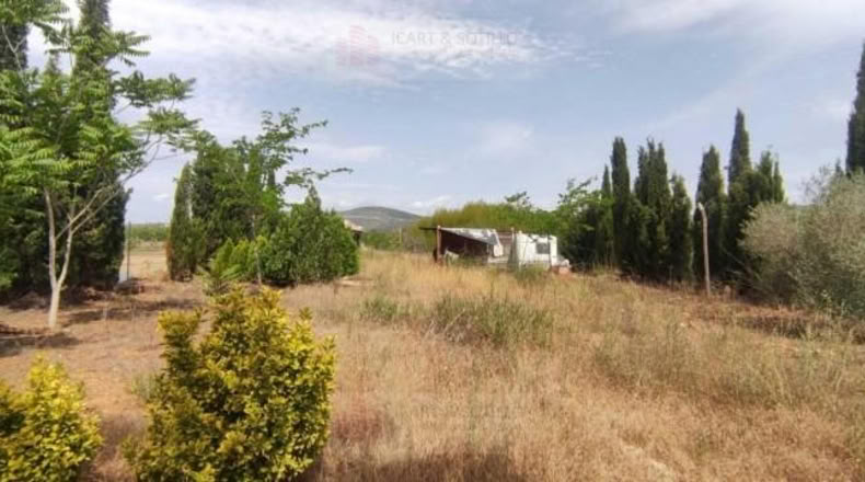 Tarragona - Ulldecona - 1202m2