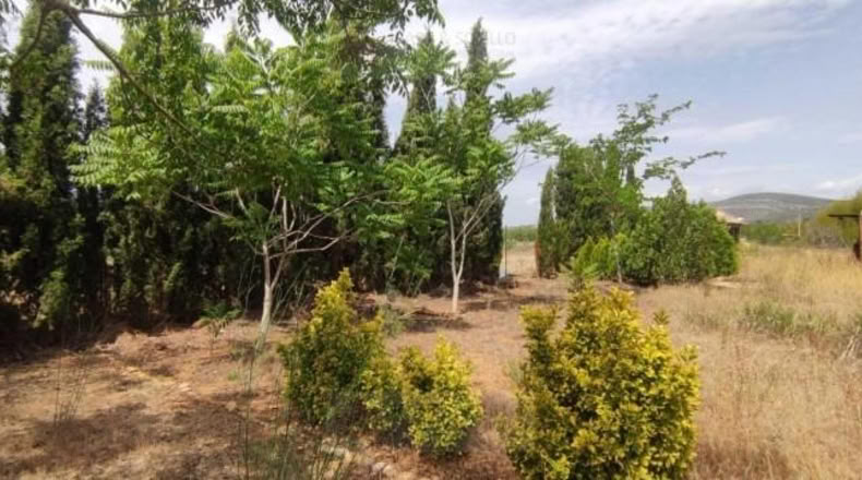 Tarragona - Ulldecona - 1202m2