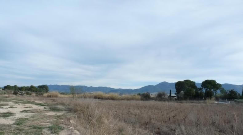 Navarra - Torres del Río - 12000m2